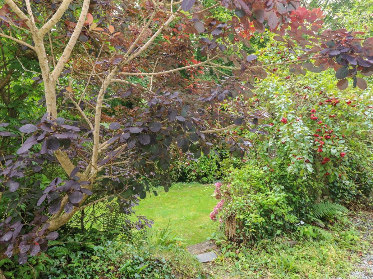 Carreg Felin Villa Milford Haven Buitenkant foto